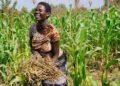 Orcas Global CEO calls on investors to help boost agricultural sector