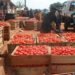 Tuobodom: Tomato farmers make gains as border closure curtails importation from Burkina Faso