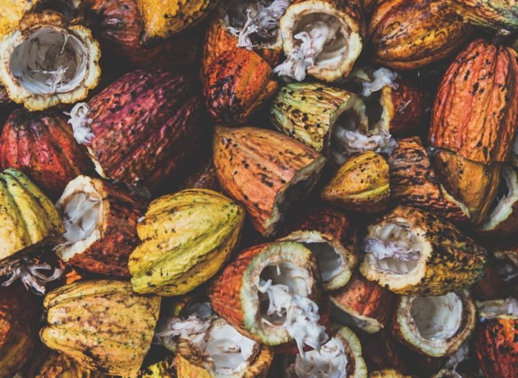 Ghana To Produce Electricity From Cocoa Husks