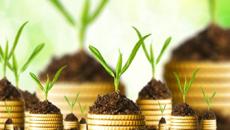 Here are 5 ways to invest your money in Ghana