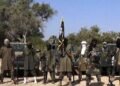 Boko Haram: Governor Says Battle Against Militants Being Sabotaged