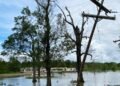 Thousands without power in US amid storm clean-up