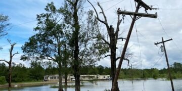 Thousands without power in US amid storm clean-up