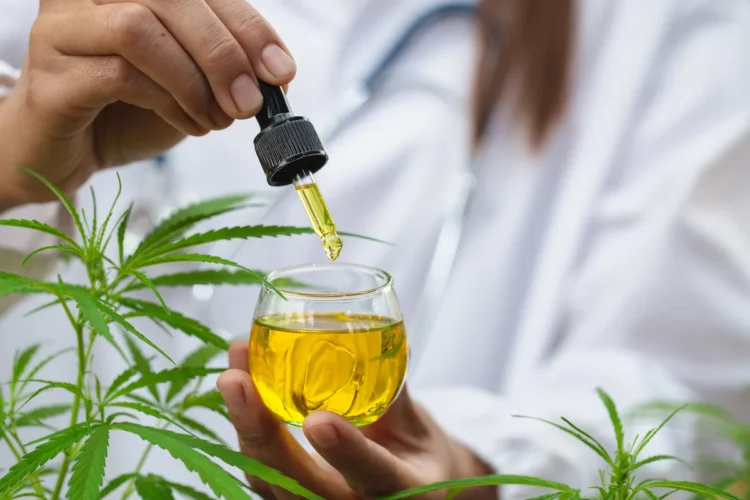 Unfortunate Decision by Ghana’s Supreme Court: Stifling Progress towards Regulated Cannabis Legalisation in Ghana